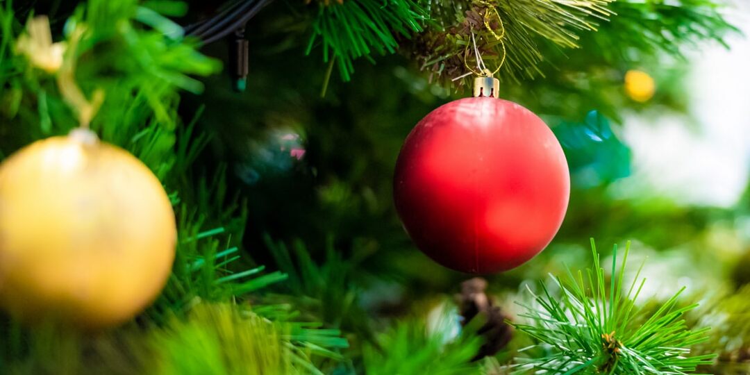 Доктор Угнивенко рассказал, как наряжать ёлку, чтобы сжечь лишние калории