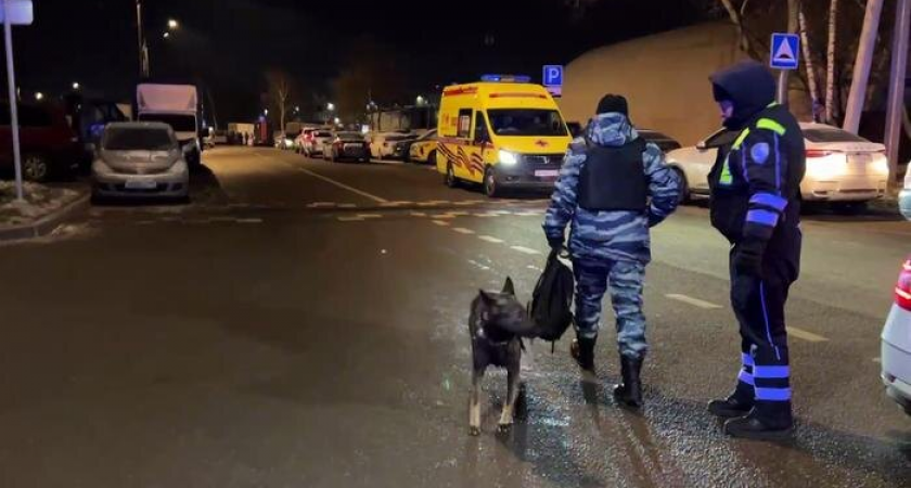    Обложка © Life.ru