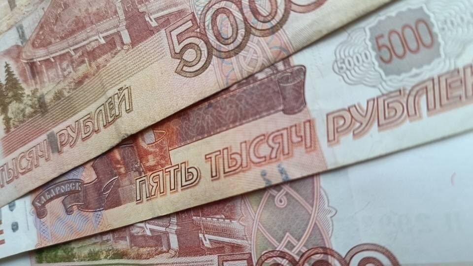 Более 29 тысяч рублей составит МРОТ с 1 января 2026 года в Волгоградской области