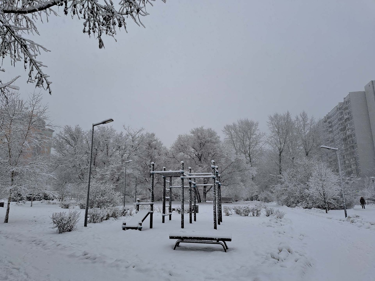 В Москве и Подмосковье в ближайшие дни произойдет резкое похолодание.  Фото: Фото: ФедералПресс / Вера Романескул