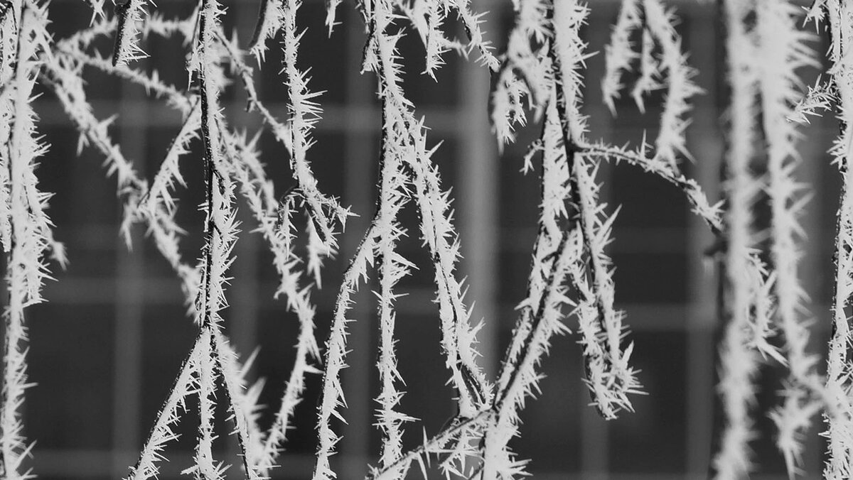    Фото: Сергей Егоров