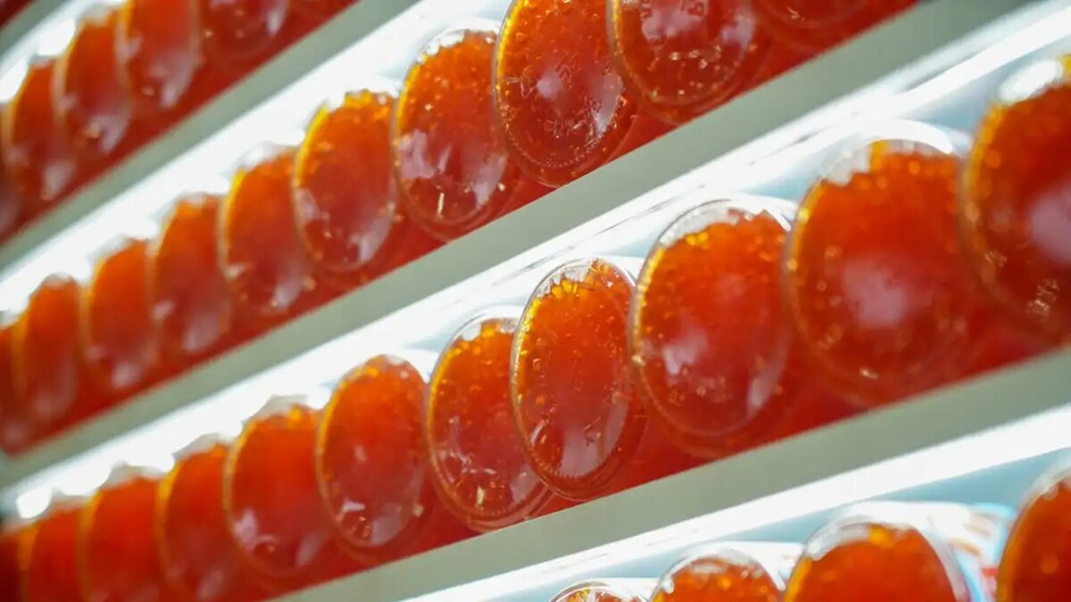     © АГН "Москва"