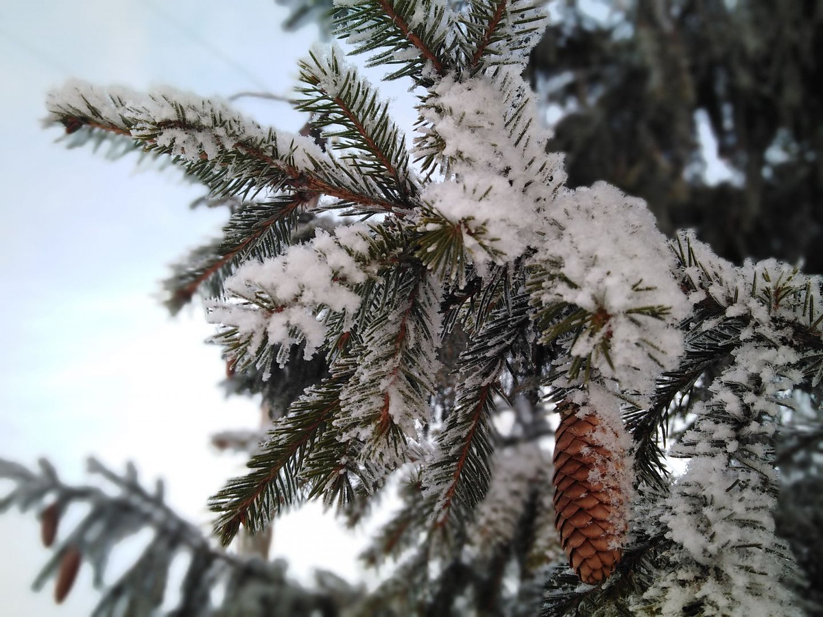 Фото: Дмитрий Герайкин