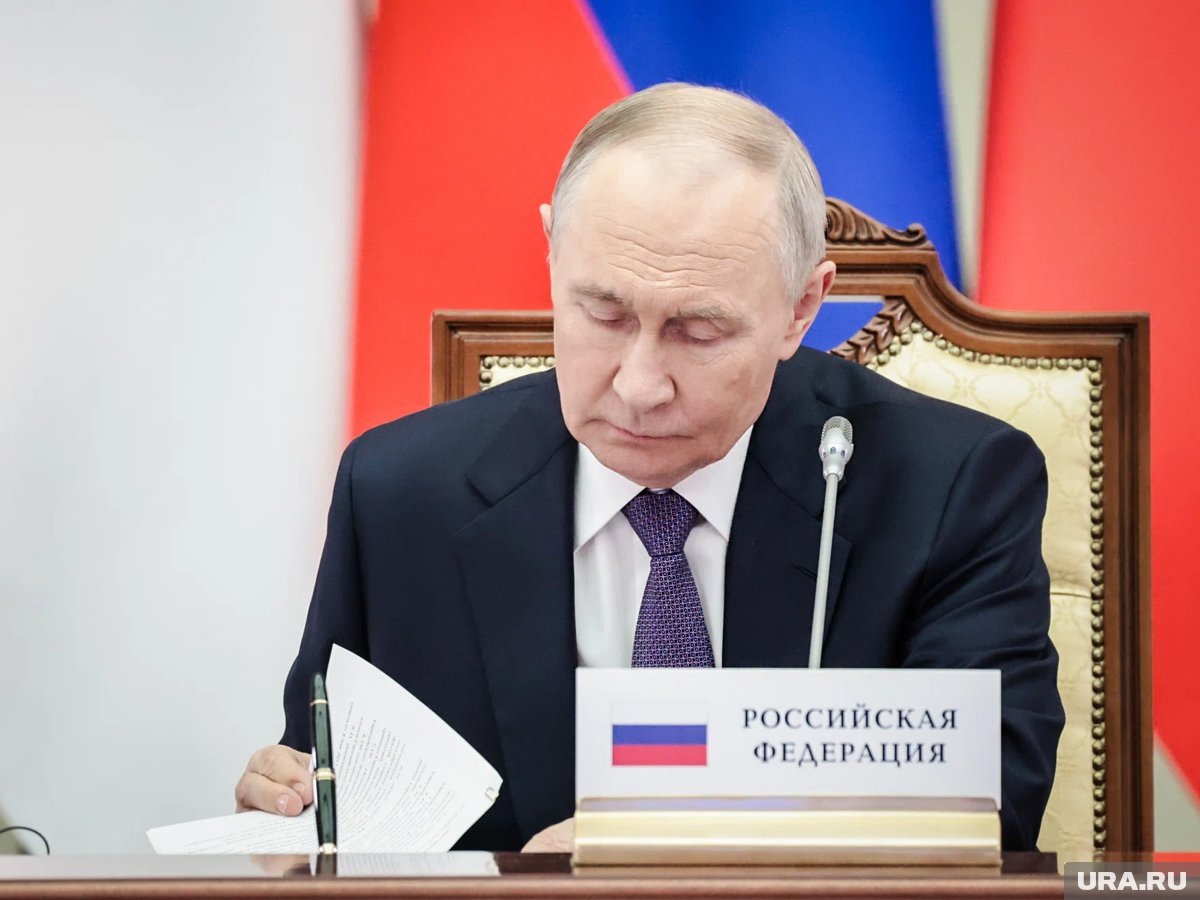     Путину собираются показать картину с его изображением