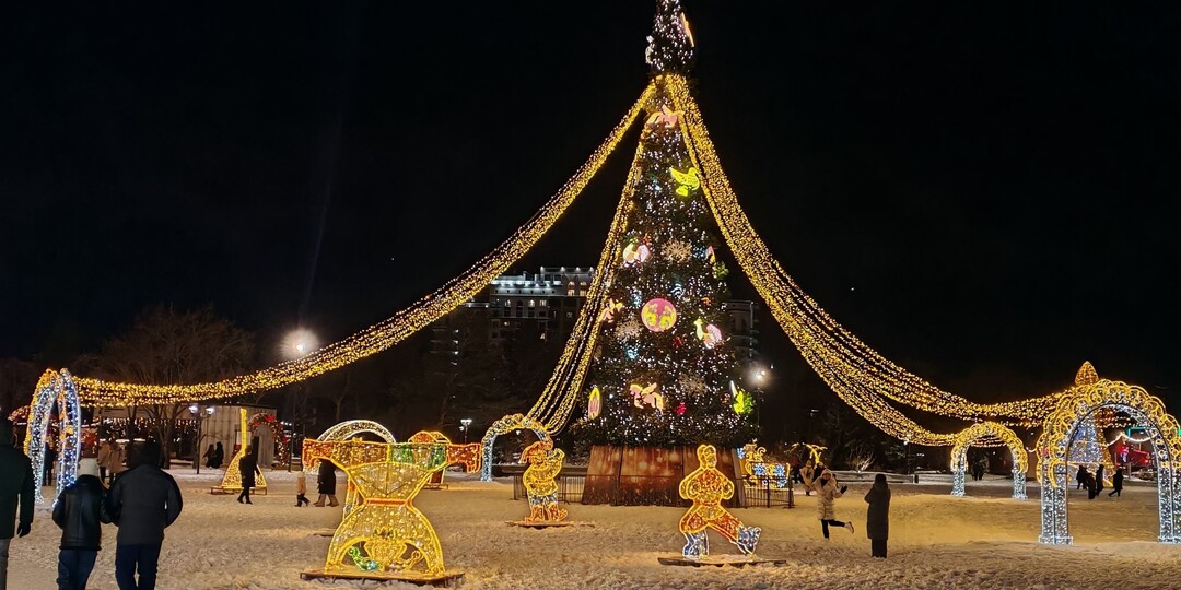 Красота требует средств: Благовещенск попал в топ-5 городов по расходам к Новому году