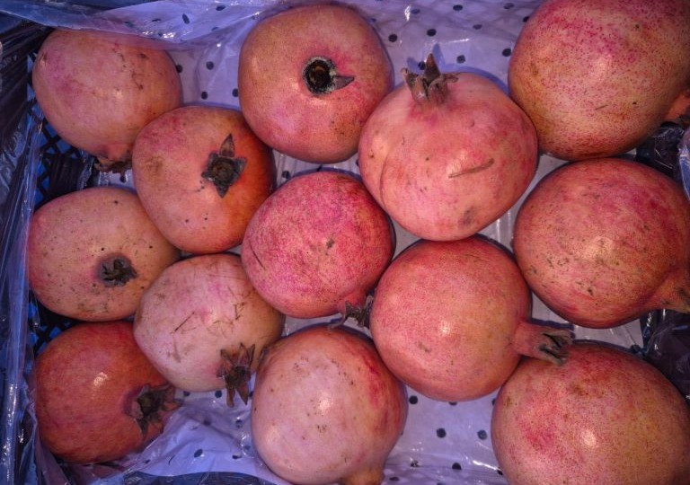 В Оренбуржье не впустили узбекские гранаты с червецом