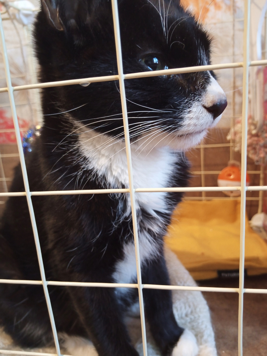 Из его последних фотографий. 😢