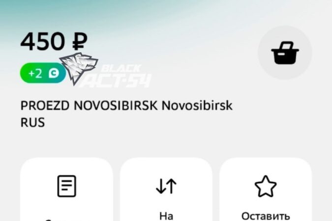    Фото: ТГ-канал "АСТ54"