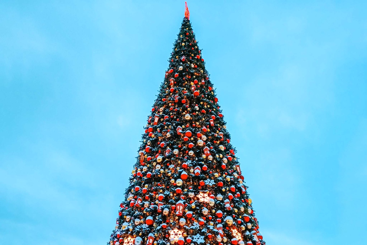 Праздничные ярмарки, активный отдых, культурная программа и флешмоб Дедов Морозов – куда пойти в Новосибирске?