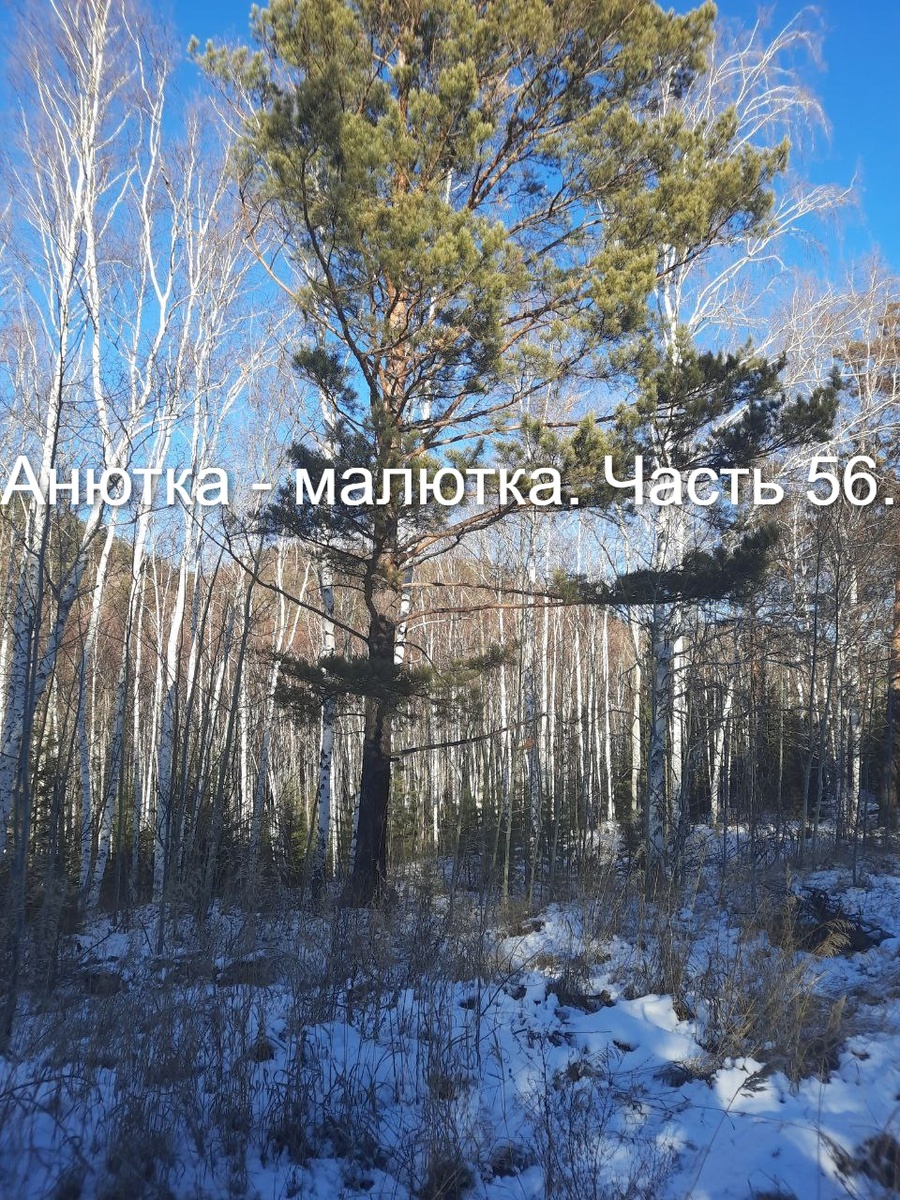 Фото автора.