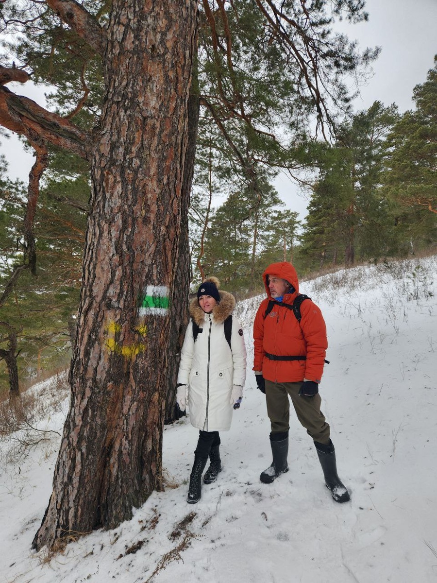 Маркировка параллельной ветки
