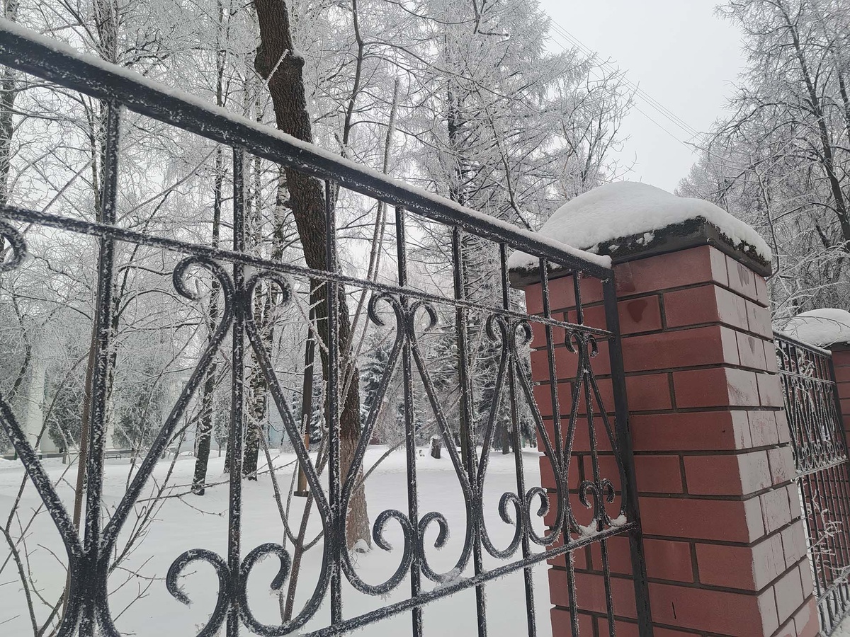 Синоптик дал прогноз на новогоднюю ночь в Приморье.  Фото: Фото: ФедералПресс / Вера Романескул