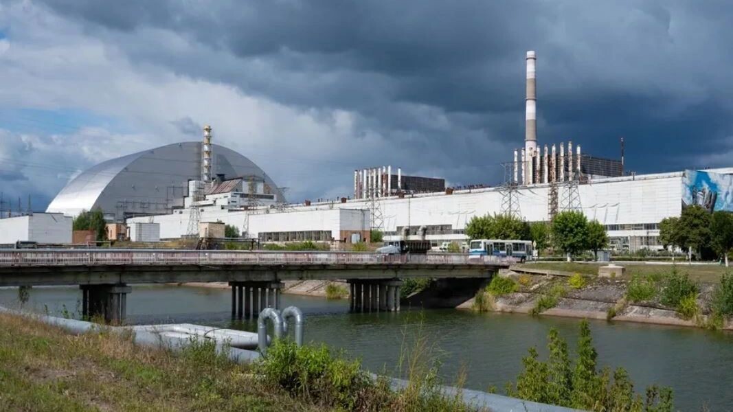    Фото: K Budzynski/Shutterstock/Fotodom