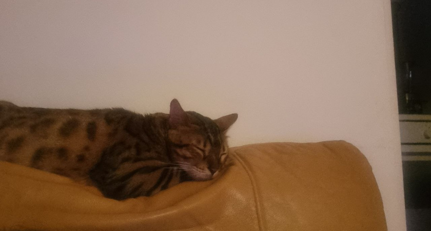    Фото Анастасии Дмитриевой