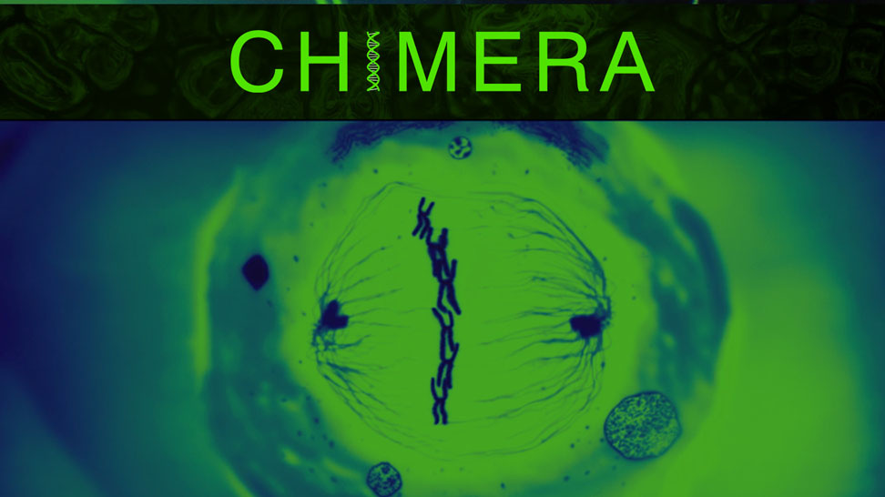 Фильм "Штамм Химеры"