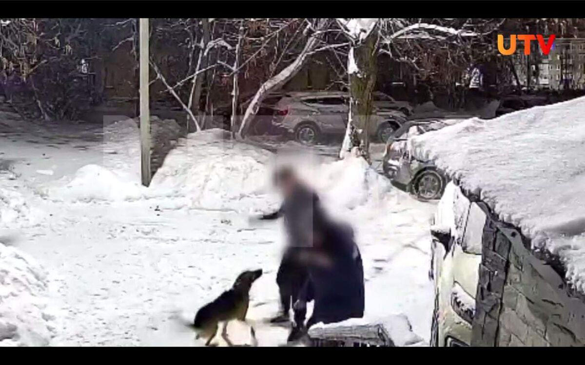    Фото: скрин видео UTV