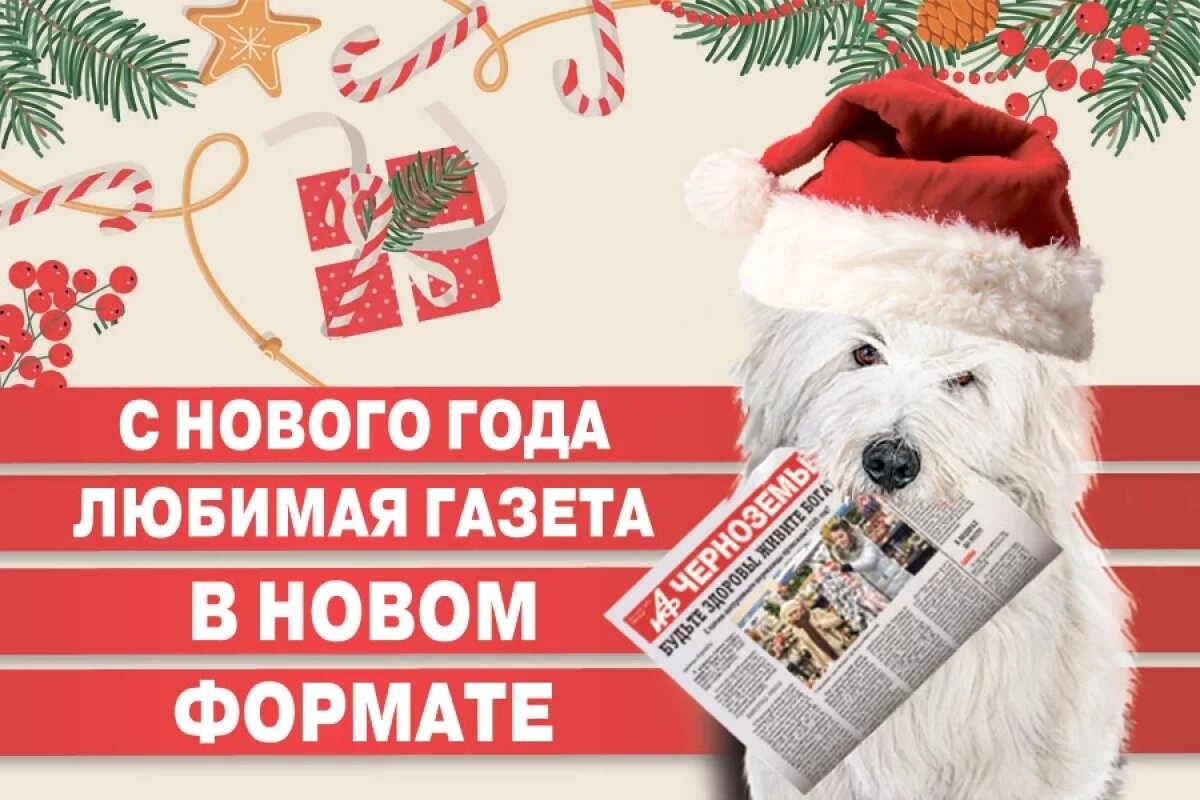    С января газета «АиФ-Черноземье» будет выходить в новом формате