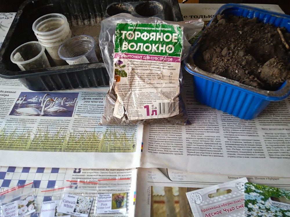 Надо посеять эустому и бегонию