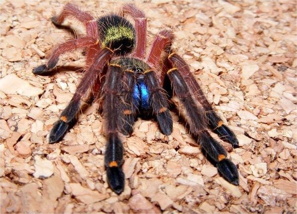 Какой скромняшка!