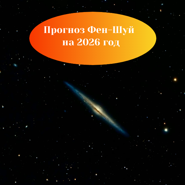 креатива автора