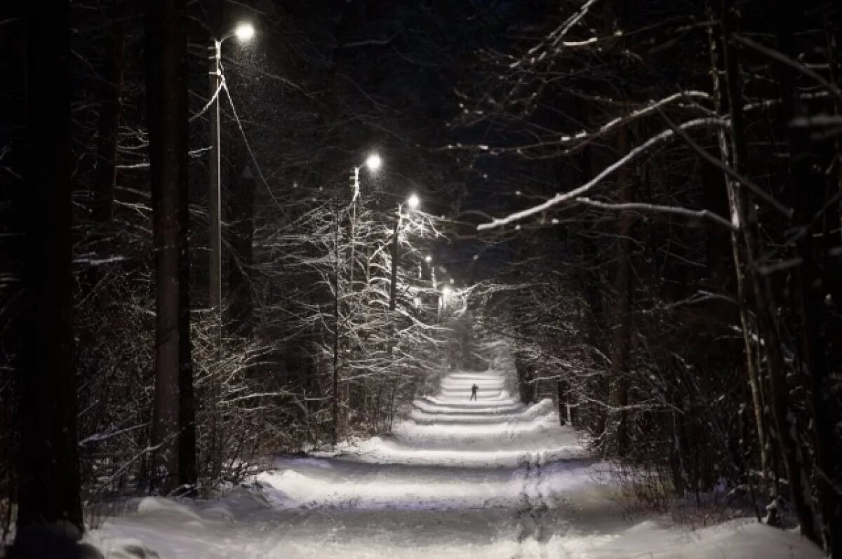    В лесу Заречного Пензенской области продлили участок лыжной трассы