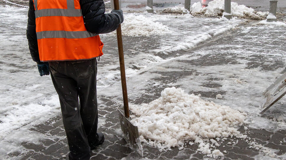 Фото: Егор Снетков / Коммерсантъ