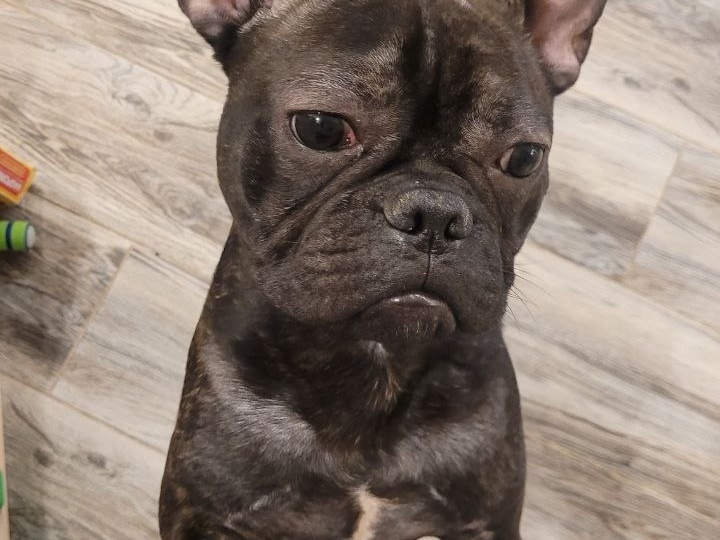 СРОЧНО НУЖНА ПЕРЕДЕРЖКА!! МОСКВА, МО