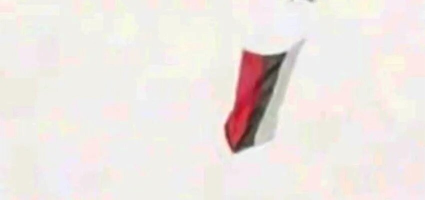    Скриншот видео: соцсети/"РГ" Веселовские вести