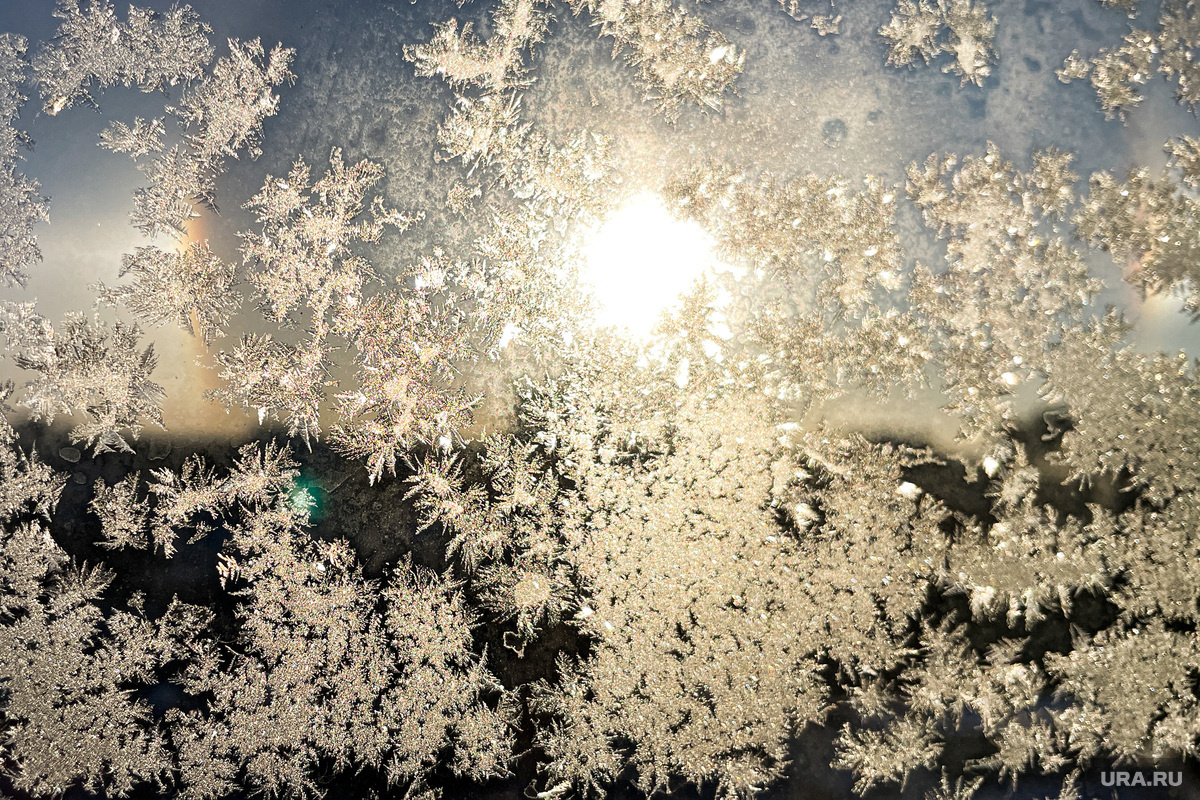 Мороз 27 декабря предвещал богатый урожай на будущий год. Фото: Вадим Ахметов © URA.RU