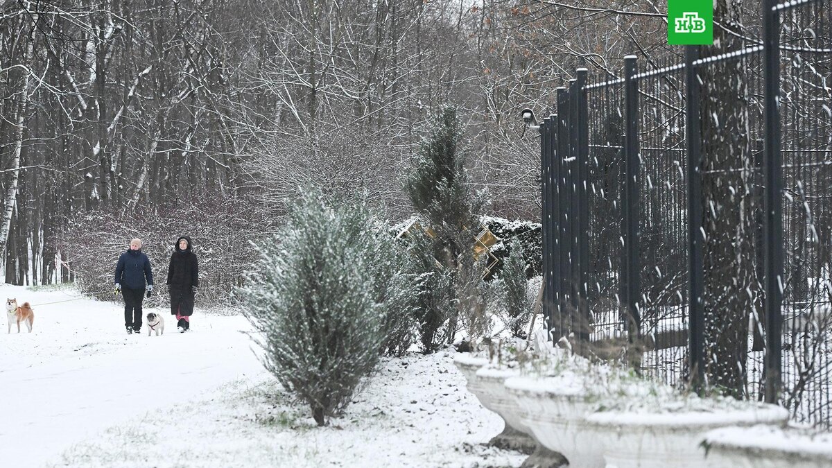    Фото: РИА Новости © 2025, Михаил Воскресенский