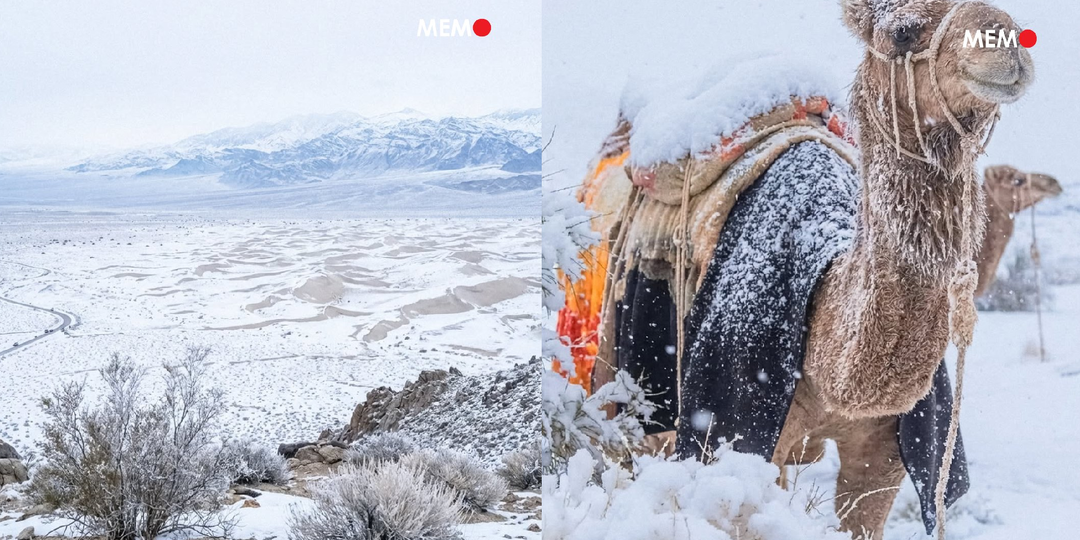 Планета: снег в аравийской пустыне впервые за 30 лет, выброс Йеллоустона, карский укус с севера