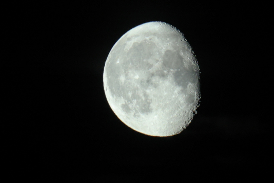    Сергей Булкин/NEWS.ru