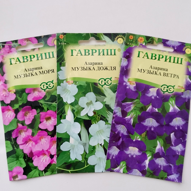 Фото автора канала