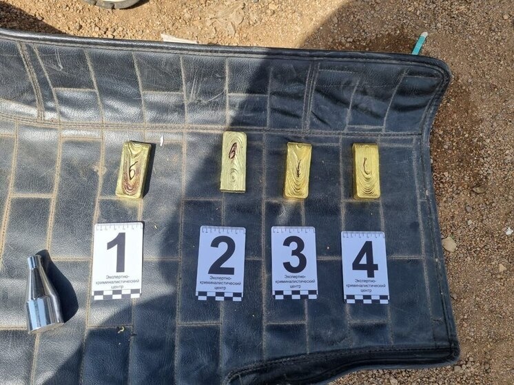     Фото: Telegram-канал Забайкальского линейного управления МВД на транспорте