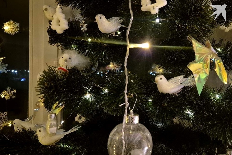    Католики празднуют Сочельник 24 декабря. Фото используется в качестве иллюстрации: архив «КП».