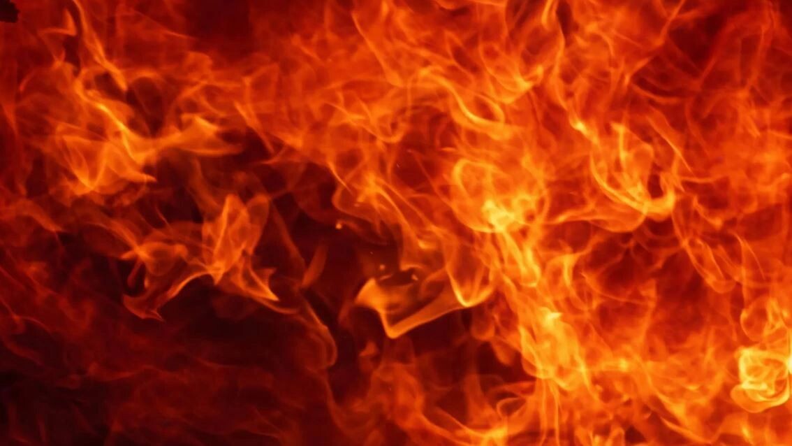    Фото: afotostock/Shutterstock/Fotodom