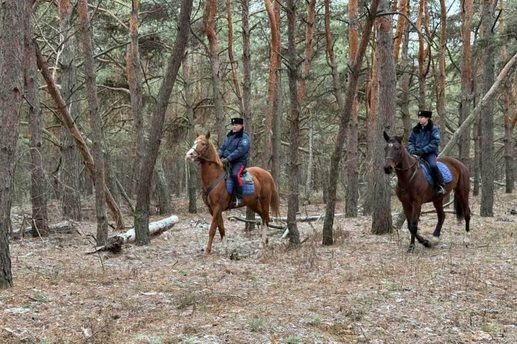    Фото: сайт Правительства РО Веселовские вести
