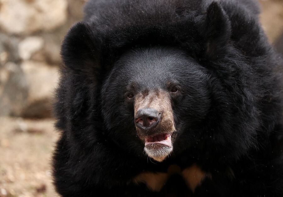     / Источник: © Артем Геодакян/ТАСС