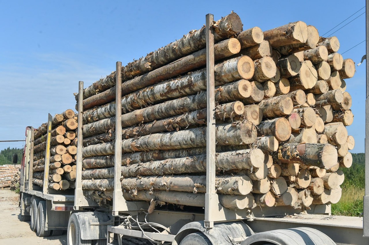    © Константин Долгановский