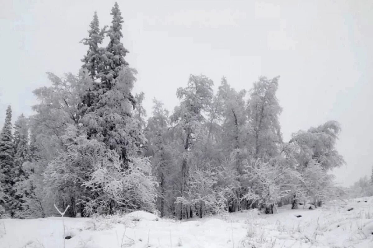    Туристов призвали к осторожности при посещении нацпарка «Зигальга»