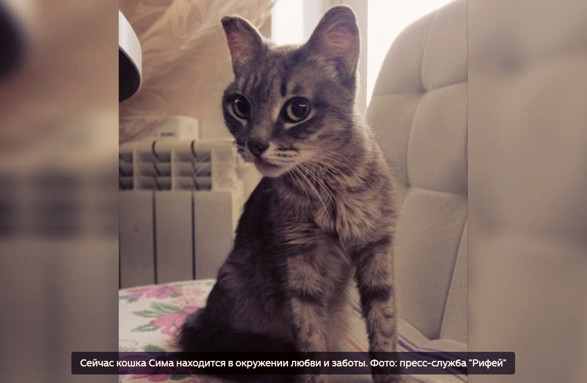 Фото из открытых источников