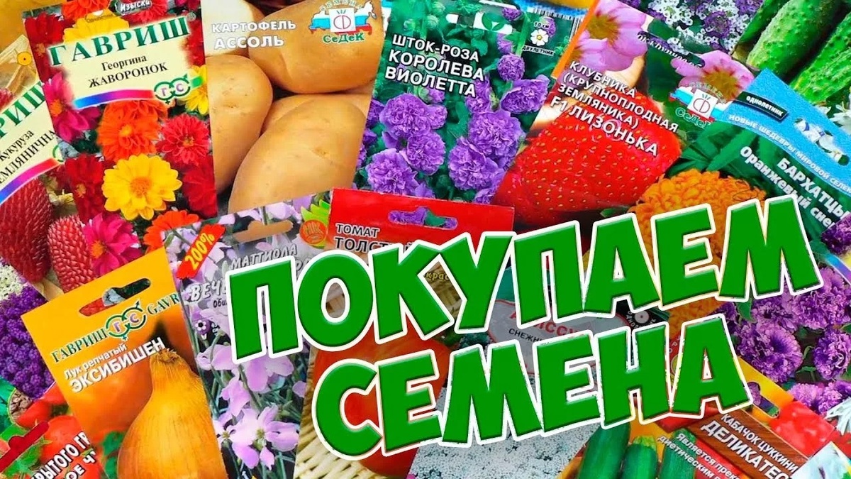 Покупаем семена