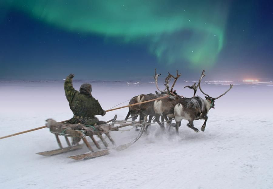 Фото из Яндекса. Спасибо автору. 