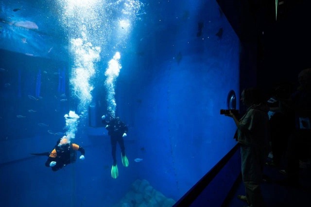   Фото из архива Калининград.Ru