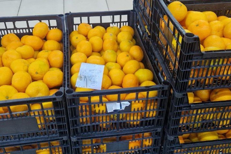    Из Иркутской области в зону СВО доставили новогодние подарки. Фото: пресс-служба правительства Иркутской области