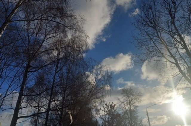    Фото: АиФ в Туле/ Антонина Афанасьева