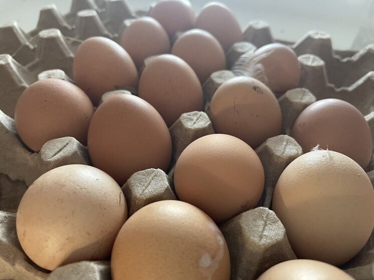     Фото: МК в Пензе