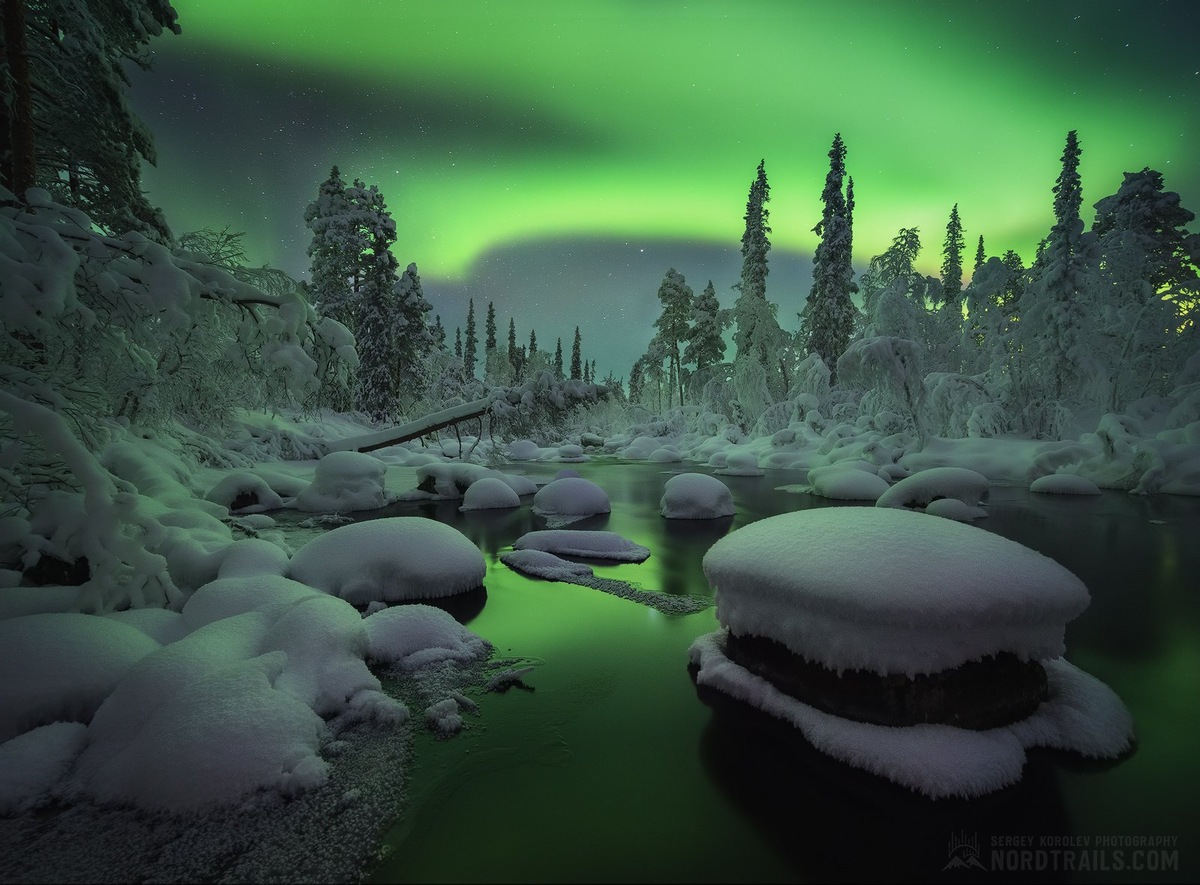 Фото Сергея Королёва