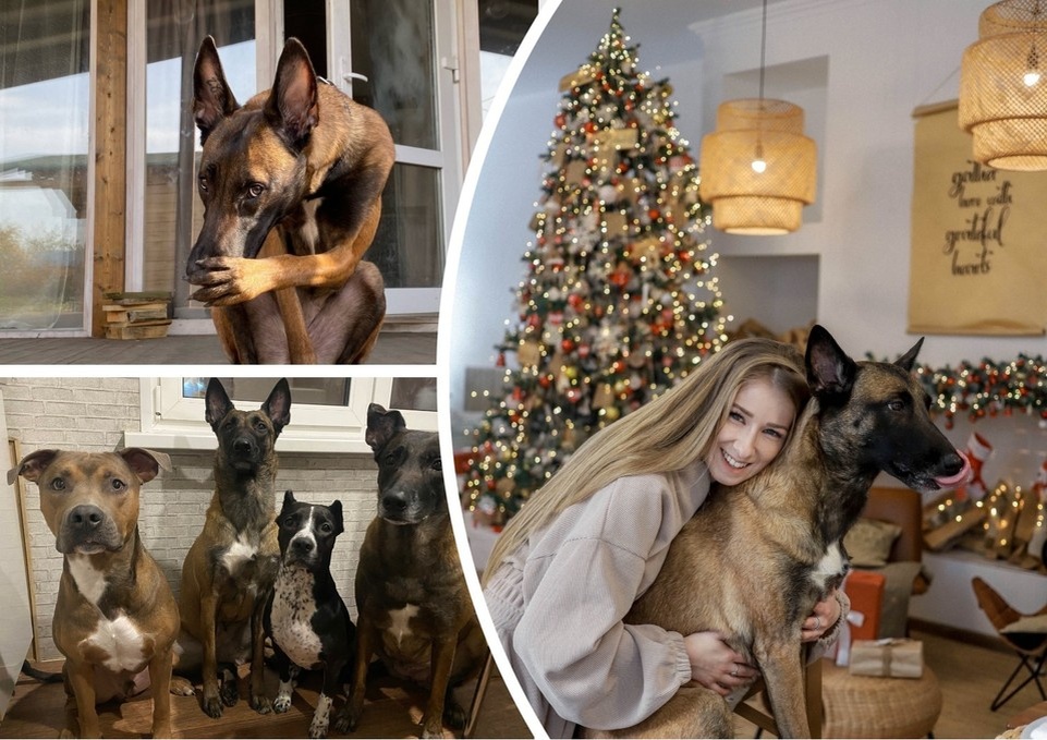    За решением этих проблем владельцы животных обращаются к челябинскому инструктору-кинологу Анастасии Титовой.