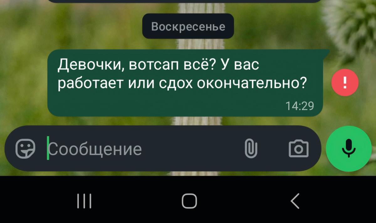 С воскресенья признаки жизни отсутствуют